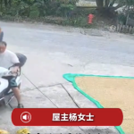 点赞！路人主动帮屋主抢收被淋稻谷