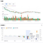 昇辉科技的“多事之秋”