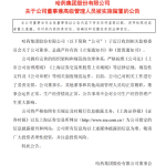 哈药股份：总裁芦传有被立案、留置