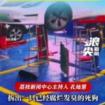 师傅修车掉出死狗被吓到腿软 最后用垃圾袋将尸体处理掉