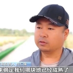 全国秋粮收获进入高峰期 秋收进展顺利有望丰收