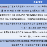 A面中国，H面世界：新能源赴港潮与它的第二重定价