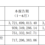 卡位优势不减！锦江航运利润承压，开启“以量补价”
