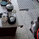 男童误把管道疏通剂当糖嘴唇被烧伤 孩子爸爸：目前还在住院治疗